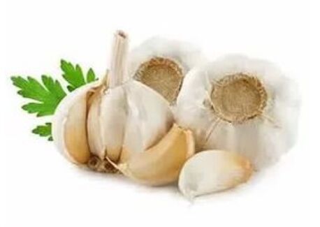 Nail fungus treating methods with garlic