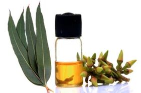 Eucalyptus oil for the treatment of onycchomycosis