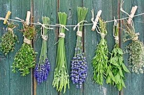 herbs for toe fungus treatment